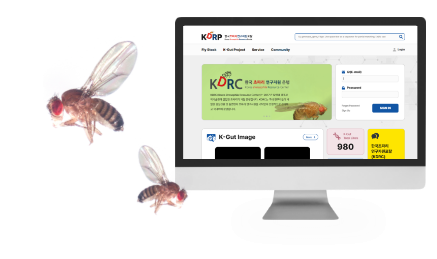 flyinfo.kr